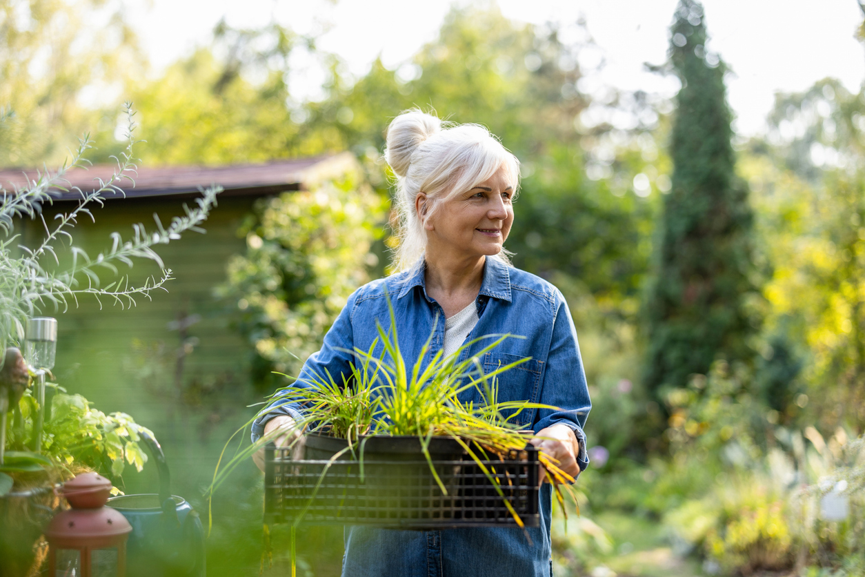 independent living in Milton