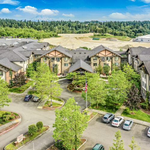 Aerial view of the community surrounded by trees and the mountains in the distance